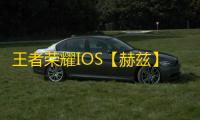 王者荣耀IOS【赫兹】辅助